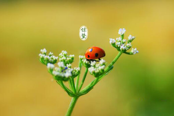 ���ݳ�ʲô ����ʱ�ڵ���ʳ����